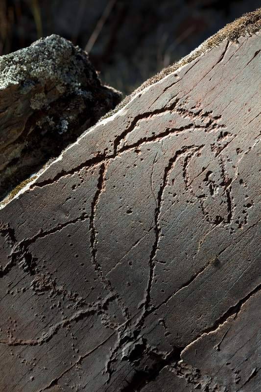 42AAAEF5-253E-4305-B936-7C5CFC24B37E